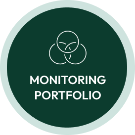 Monitoring Portfolio